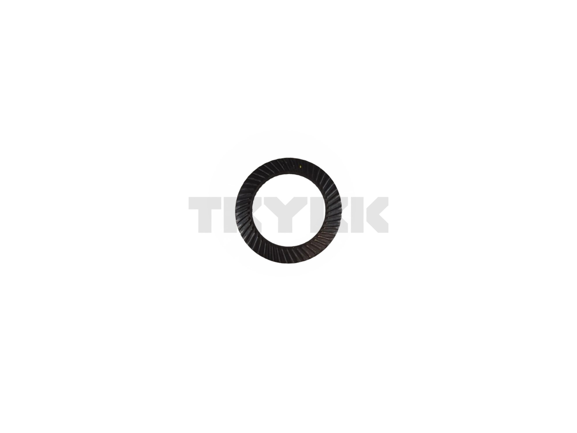 12M7061.jpg