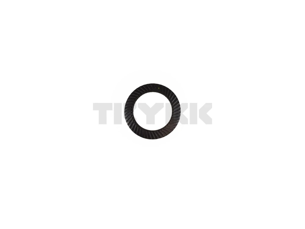 12M7061.jpg