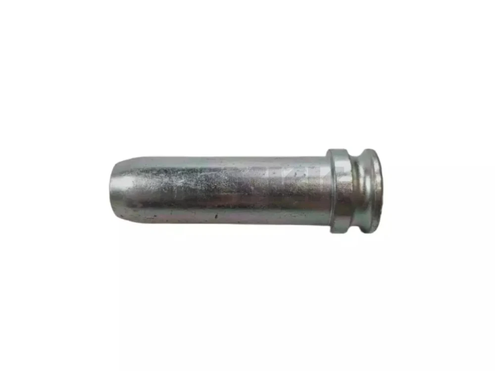 AL162817.jpg