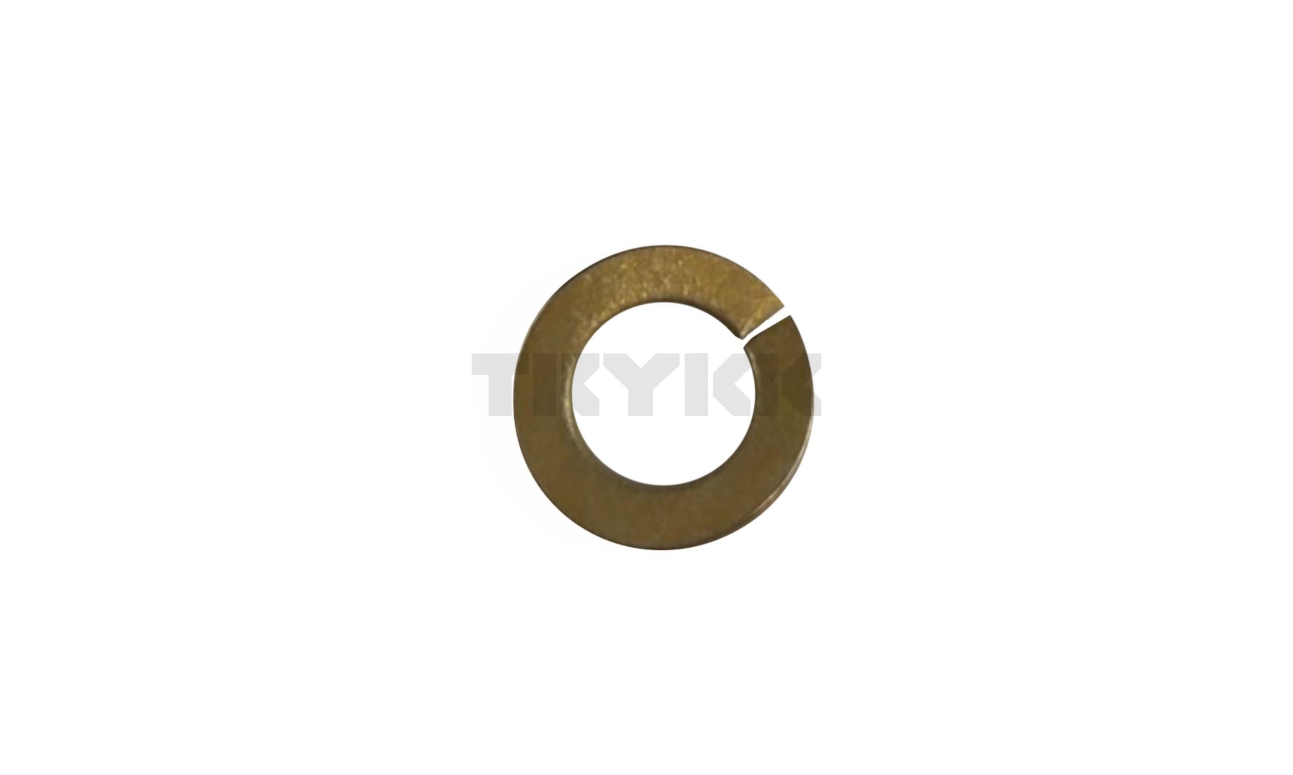 12M7065.jpg