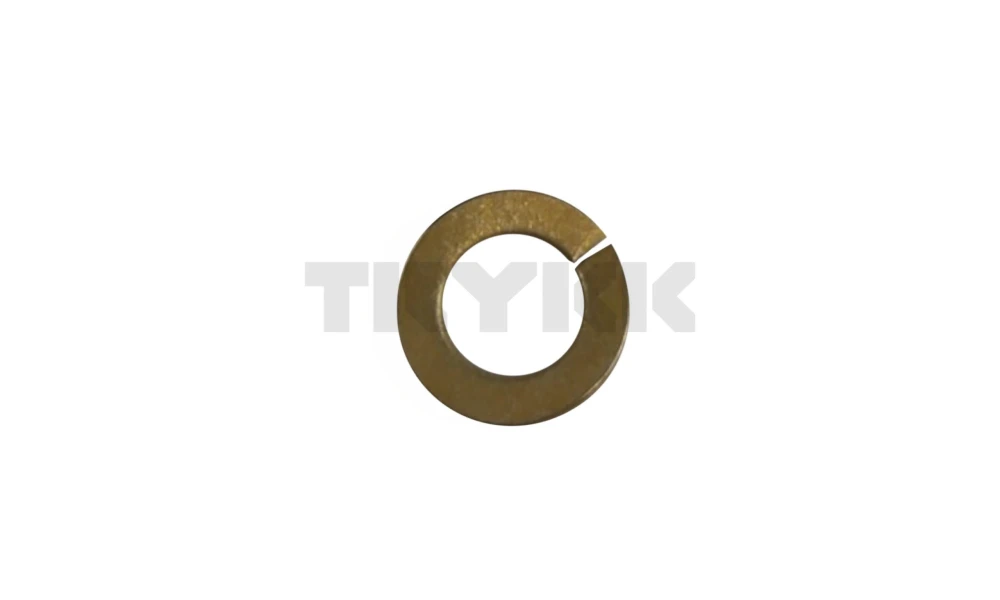 12M7065.jpg