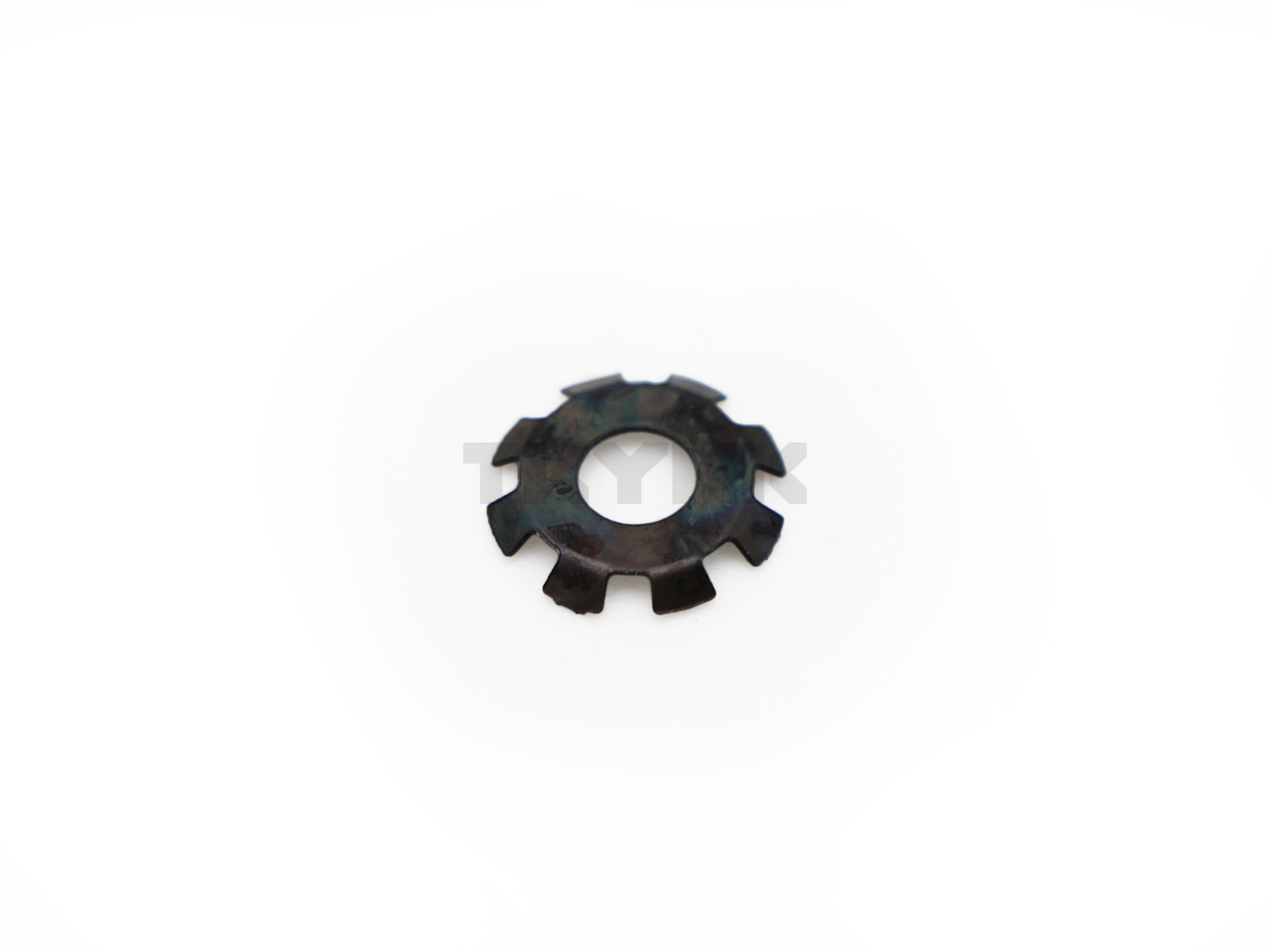 R553526.jpg
