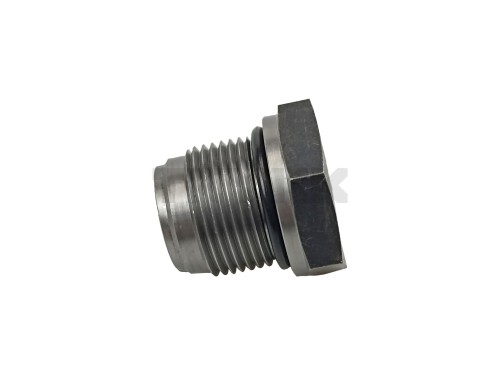 AL113728.jpg