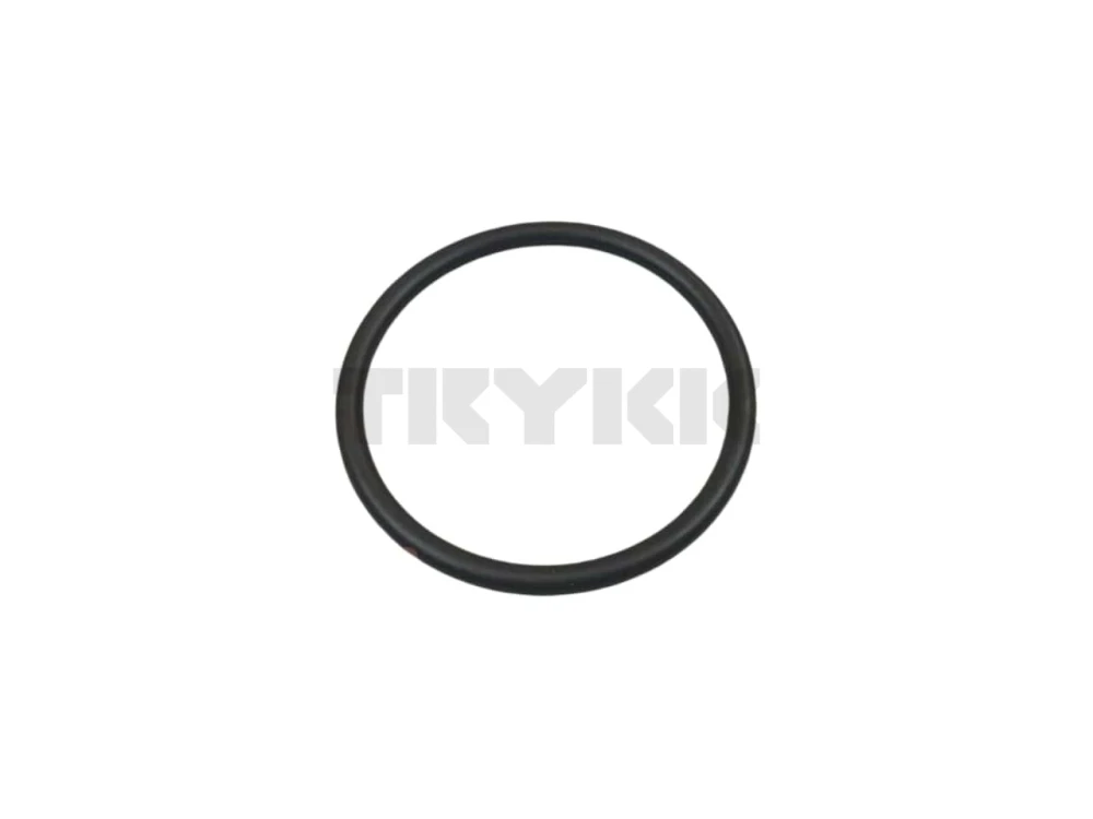 R61015.jpg