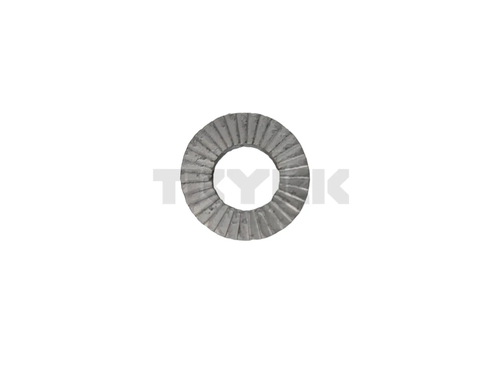 5ZN096061.jpg