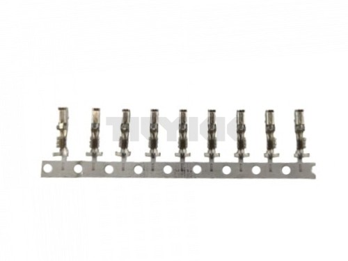 R104701.jpg