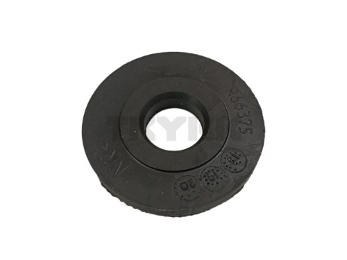 R66375.jpg