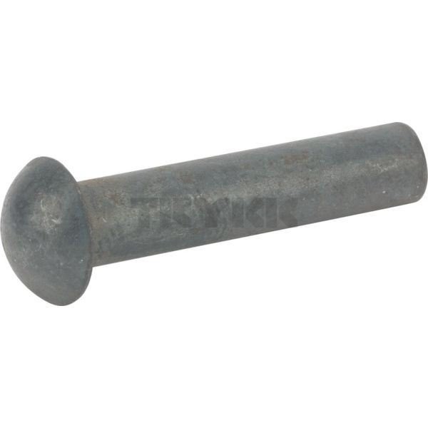 16M4666.jpg
