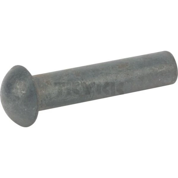 16M4666.jpg