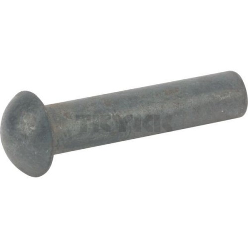 16M4666.jpg