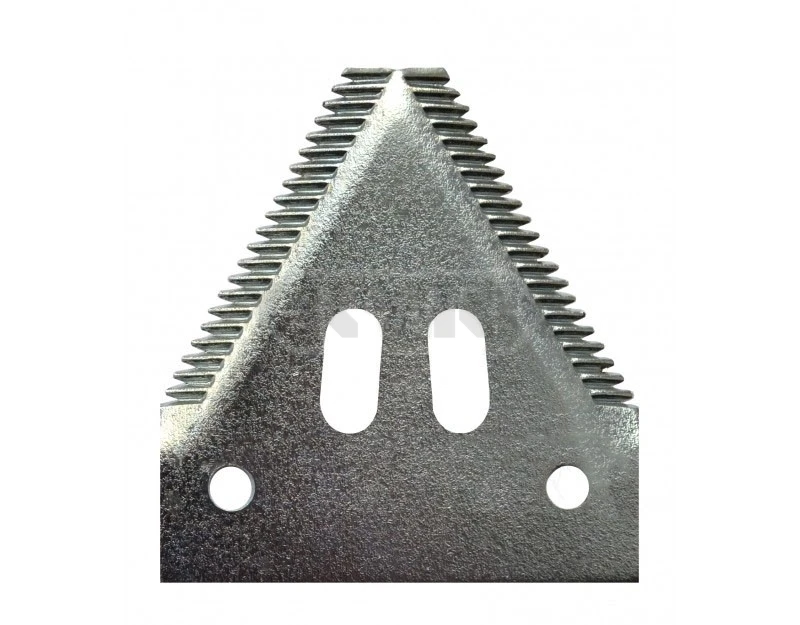 Z93077.jpg