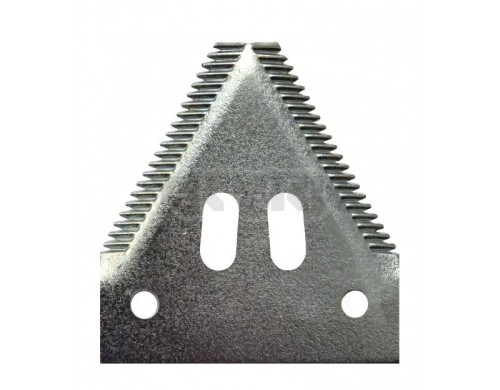 Z93077.jpg