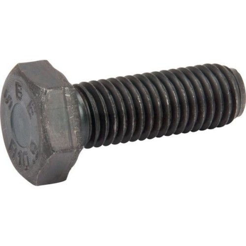 19M7403.jpg