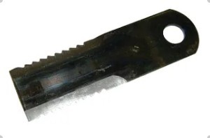 Z105500.jpg