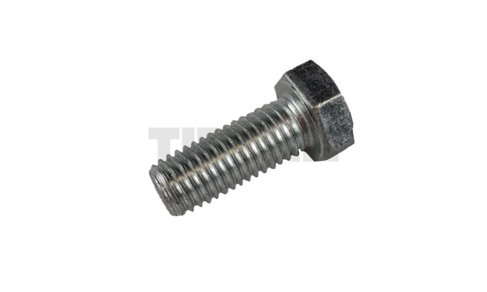 19M7285.jpg