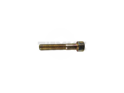 19M8923.jpg