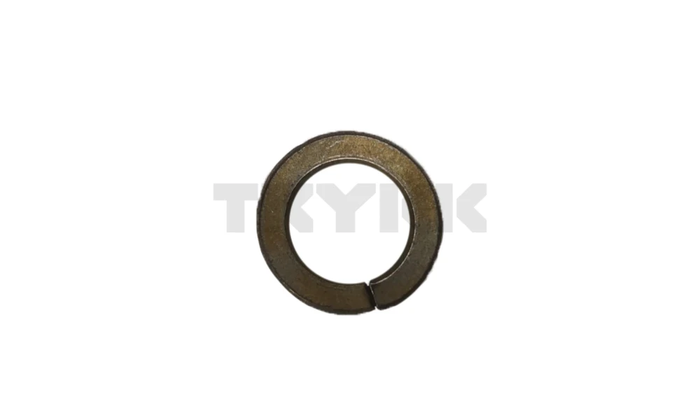 12M7069.jpg