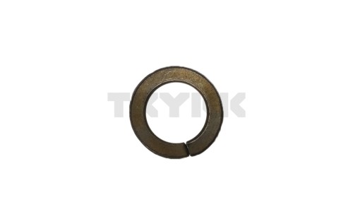 12M7069.jpg