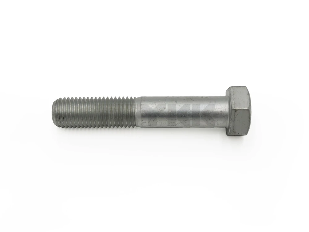 19M7969.jpg
