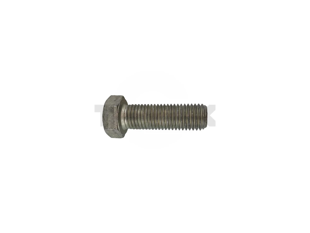 19M7409.jpg