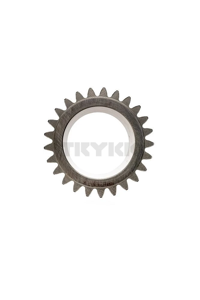 R169917.jpg