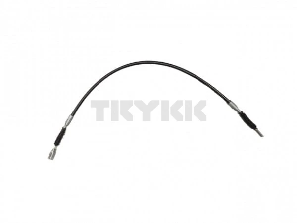 AL117196.jpg