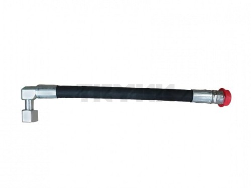 AL113144.jpg