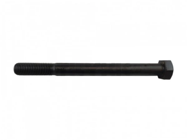 19M8190.jpg