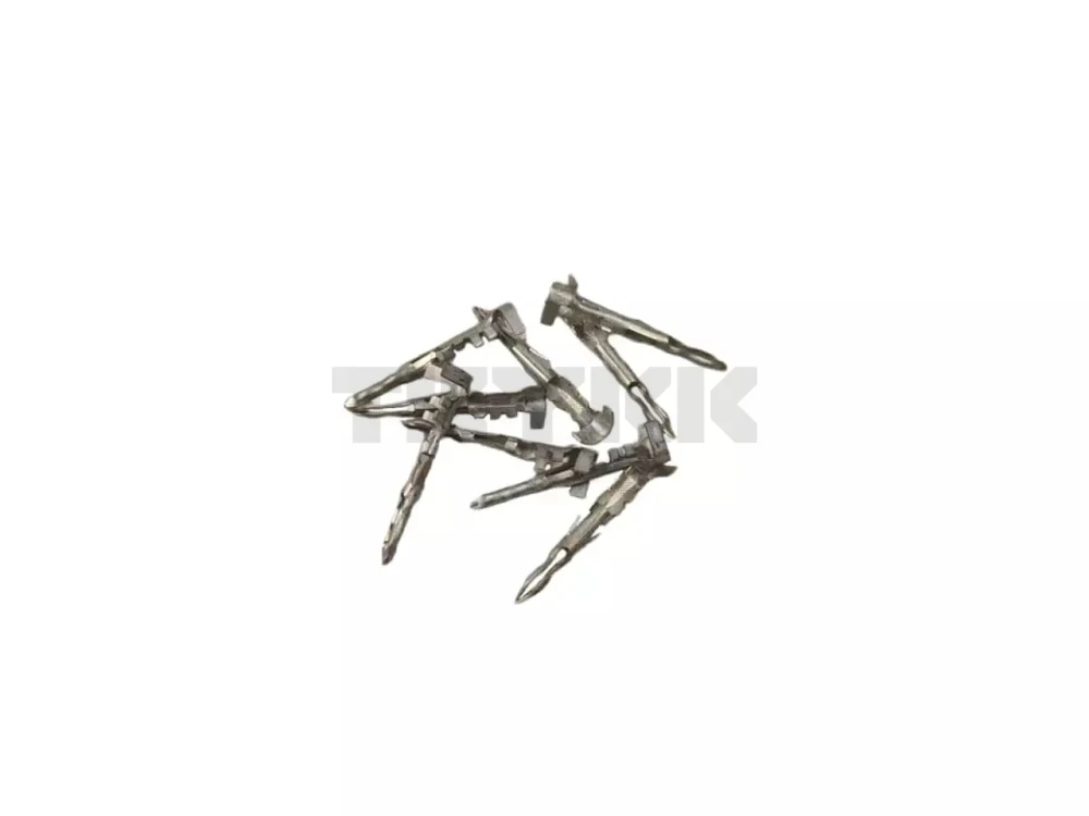 R78061.jpg