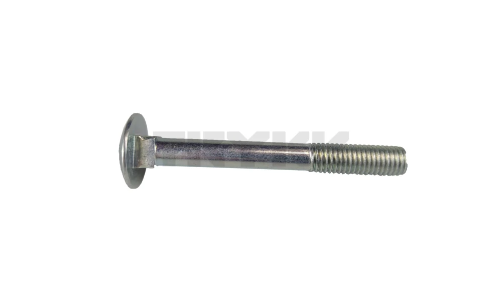 Z40205.jpg